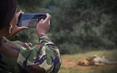 Van veldobservatie naar GBIF: data-koppeling vanuit het Sensing Clues platform
