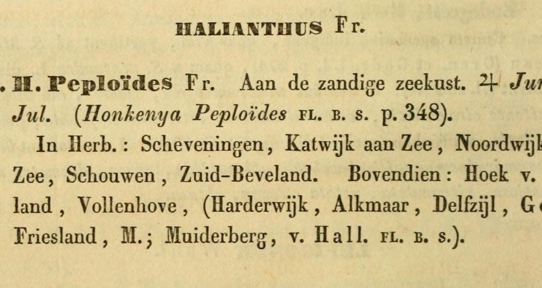 Data gap analysis voor botanische literatuur en collecties