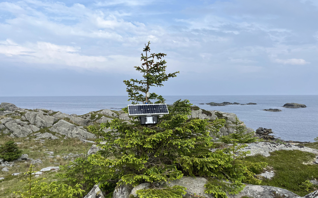 Safer and Sounder – Extending Camtrap DP for the exchange of bioacoustics data