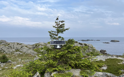 Safer and Sounder – Extending Camtrap DP for the exchange of bioacoustics data