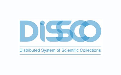 Distributed System of Scientific Collections (DiSSCo)