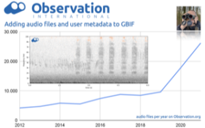 Observation International