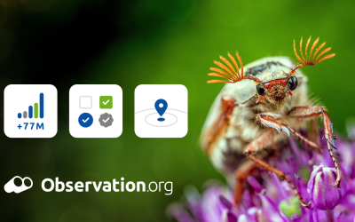 Uitbreiding en verfijning van de GBIF-dataset van Observation International